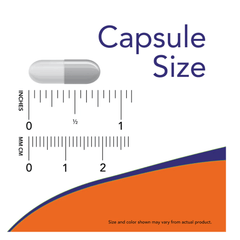 Now, L-Theanine, 200 mg, 120 Veg Capsules - GREEN LIFE CYPRUS