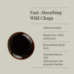 Kiki Health, Organic Chaga Extract Tincture, 50ml - GREEN LIFE CYPRUS