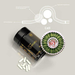 Liposomal Quercetin vegan supplement capsules by Herbalistas, showing a close-up of the supplement pill on a white background