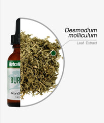 BARBERRY - Microbial Defense - GREEN LIFE CYPRUS