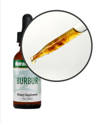 BARBERRY - Microbial Defense - GREEN LIFE CYPRUS