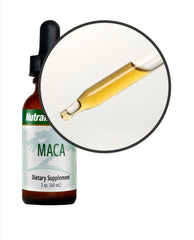 MACA - Harmonal Balance - GREEN LIFE CYPRUS