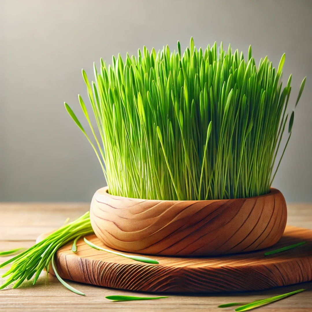WHEATGRASS