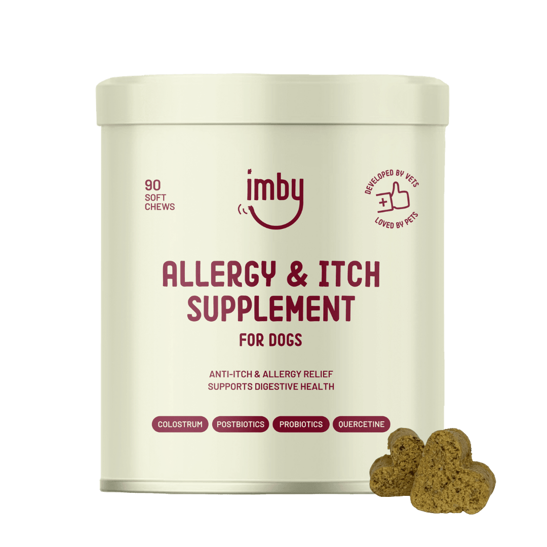 IMBY Allergy & Itch Pet Supplement bottle showing the label and supplement capsules for dogs and cats with allergy relief.