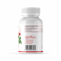 Green Life, Panax Ginseng, 1500mg, 90 κάψουλες, 45 δόσεις