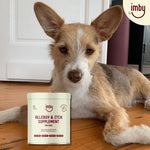 IMBY allergy and itch pet supplement bottle with label, designed to support pet health and skin comfort.