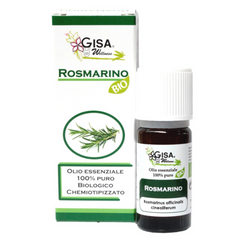 Rosemary BIO - Rosmarinus officinalis cineoliferum - Gisa