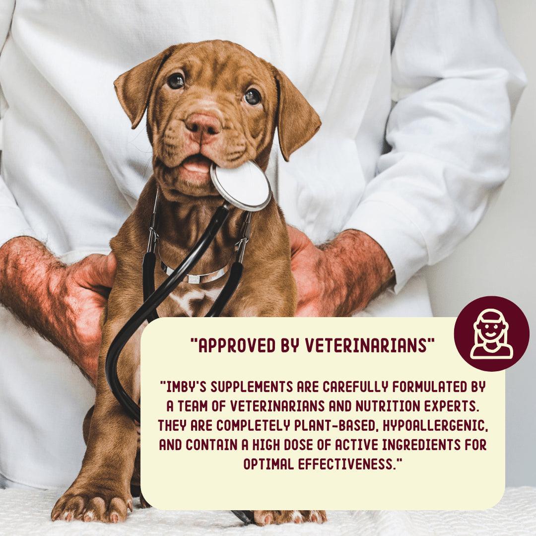 IMBY Allergy & Itch pet supplement bottle, natural ingredients for reducing allergy symptoms and skin irritation in dogs and cats.