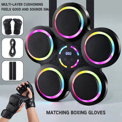 Wall Mounted Boxing Trainer