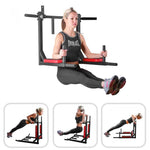 Viking Fitness P-07 pull-up bar and dip stand accessory with sturdy metal construction for home gym workouts.
