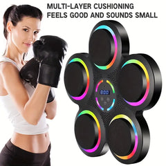 Wall Mounted Boxing Trainer