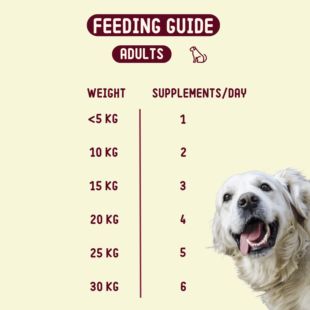 IMBY pet supplement for allergy relief and itching, featuring natural ingredients for dogs and cats with skin sensitivities.
