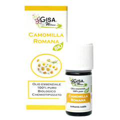 Roman Chamomile BIO - Anthemis nobilis - Gisa