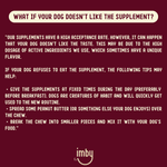 IMBY pet supplement for allergy and itch relief, featuring natural ingredients for dogs and cats with skin sensitivities.