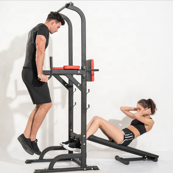 Viking Fitness,  Viking DS-24 (NG)