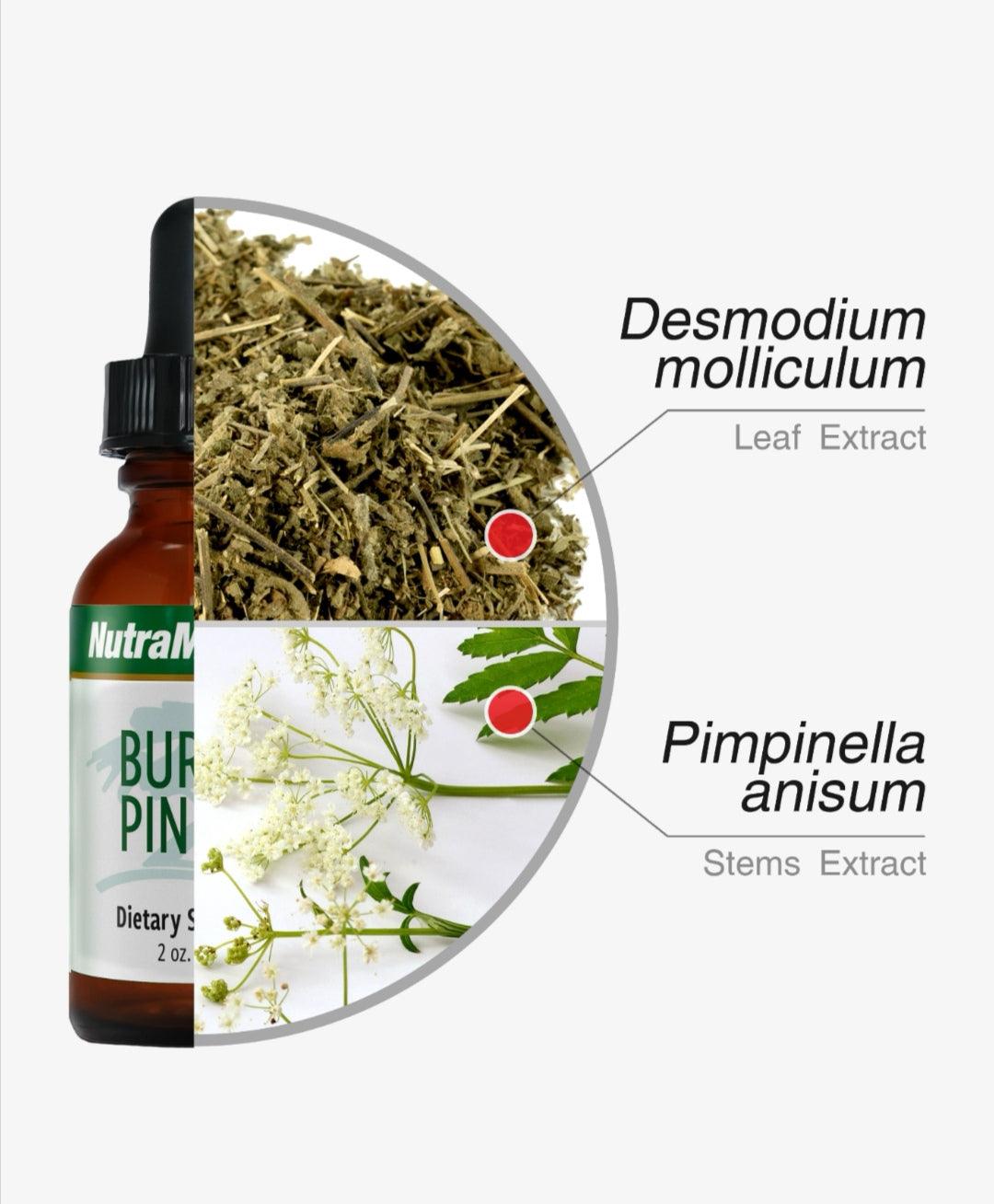 Sentosa Nutramedix BURBUR-PINELLA supplement bottle, 60ml Nerve Cleanse and Brain Detox supplement by SENTOSA