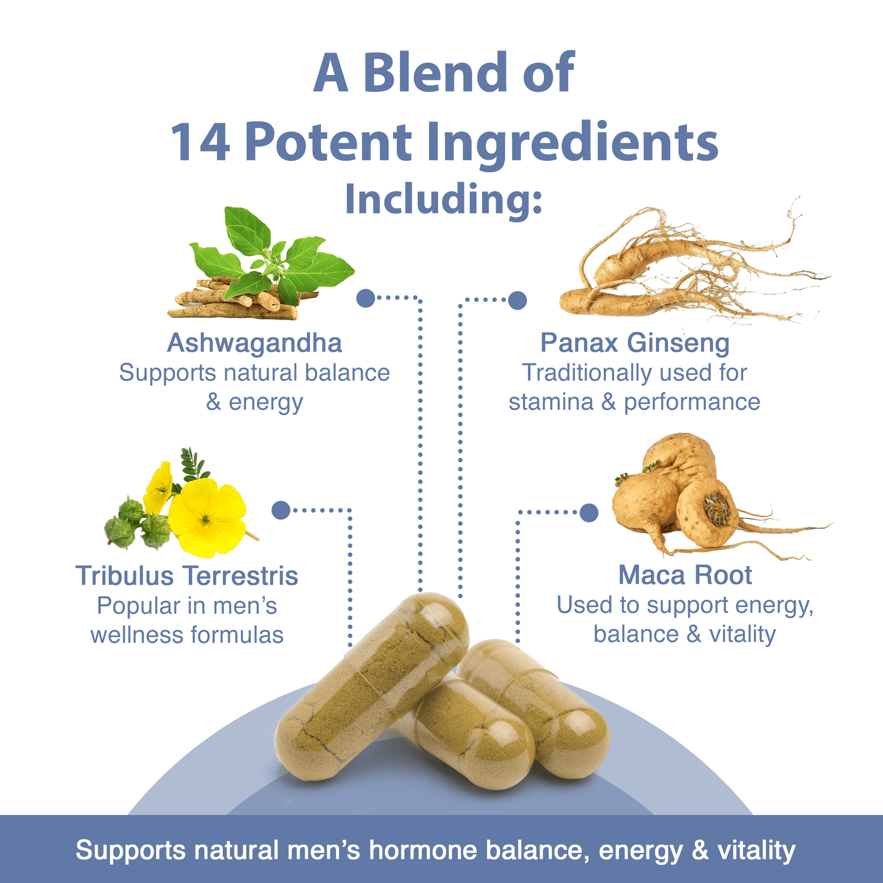 Natural energy supplement T-Boost by Strength & Spices, featuring herbs, spices, and ingredients for men's vitality and strength.