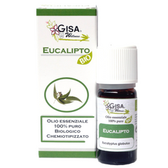 Eucalyptus BIO - Eucalyptus globulus - Gisa - GREEN LIFE CYPRUS