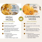 Herbalistas BIO Irish Sea Moss Powder in a jar, showcasing the green, dried Irish sea moss flakes on a white background.
