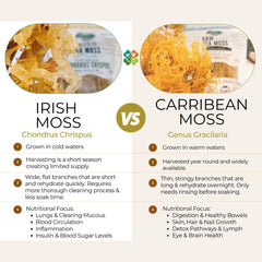 Connemara, BIO Irish Sea Moss, 60 Veggie Caps