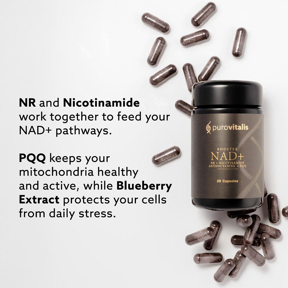 Herbalistas Purovitalis NAD+ Booster supplement in 30 capsules, showing the bottle and supplement benefits.