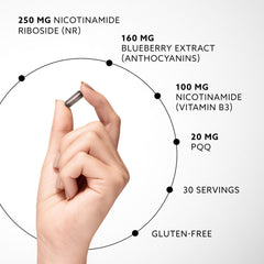 Purovitalis, NAD+ Booster, 30 Capsules - GREEN LIFE CYPRUS