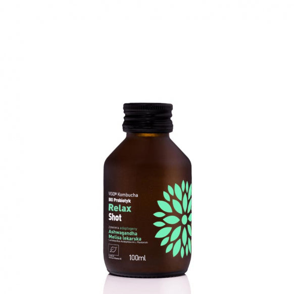 Vigo Kombucha Wellness Shop - BIO Energy (100ml) 12τεμ