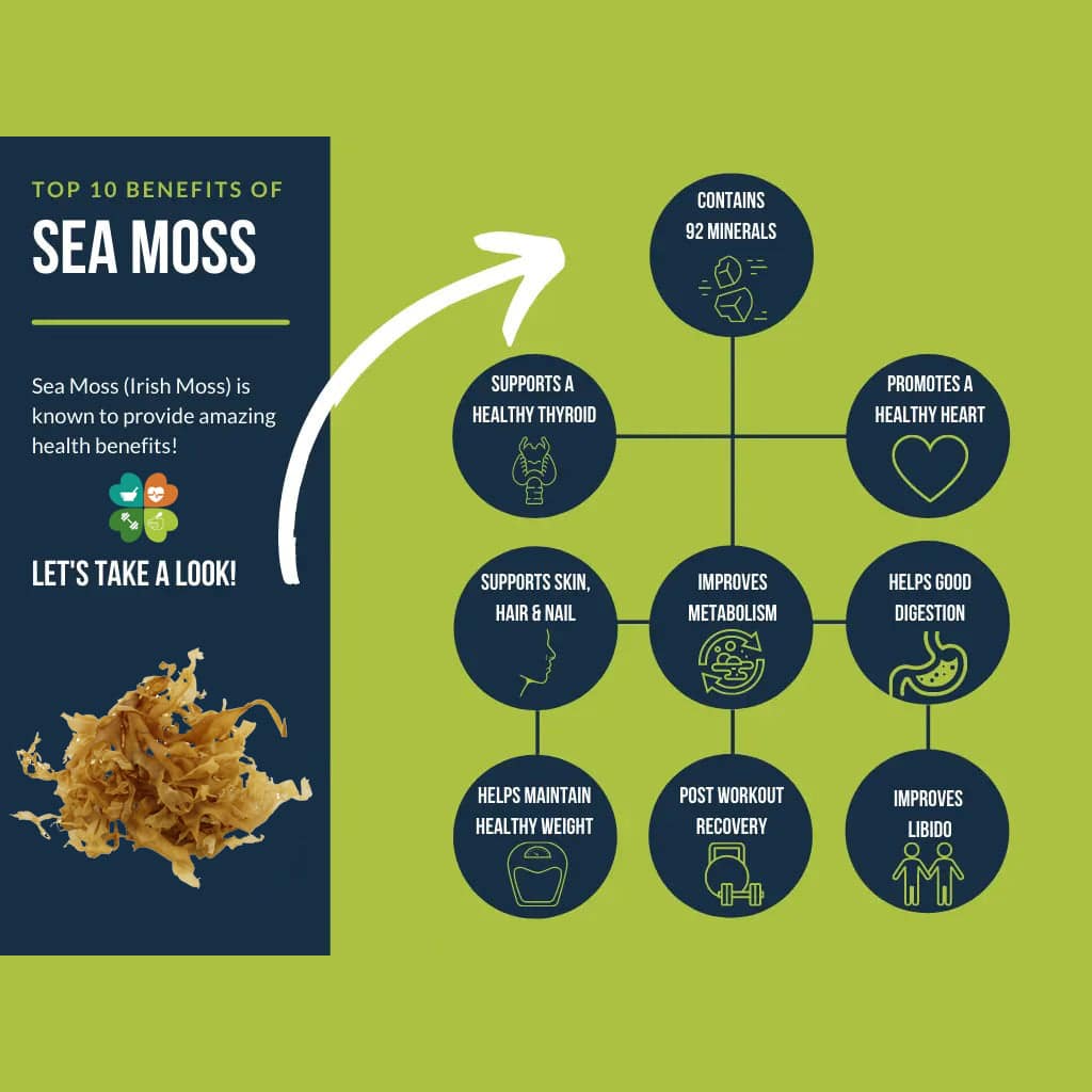 Herbalistas Connemara Irish Sea Moss Powder in a jar, showcasing the natural sea moss powder with a focus on health benefits.