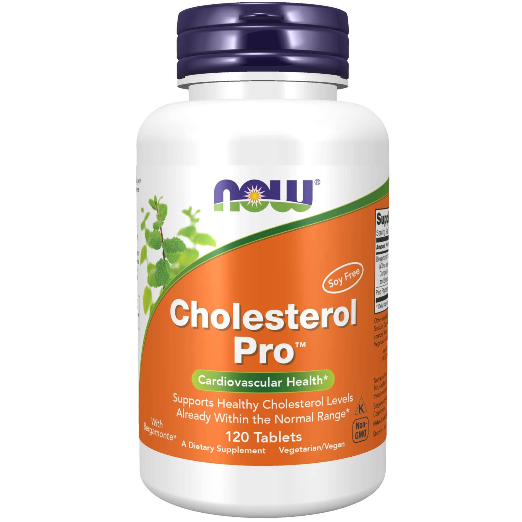 NOW Foods Cholesterol PRO supplement bottle with 120 tablets, dietary supplement for healthy cholesterol management.