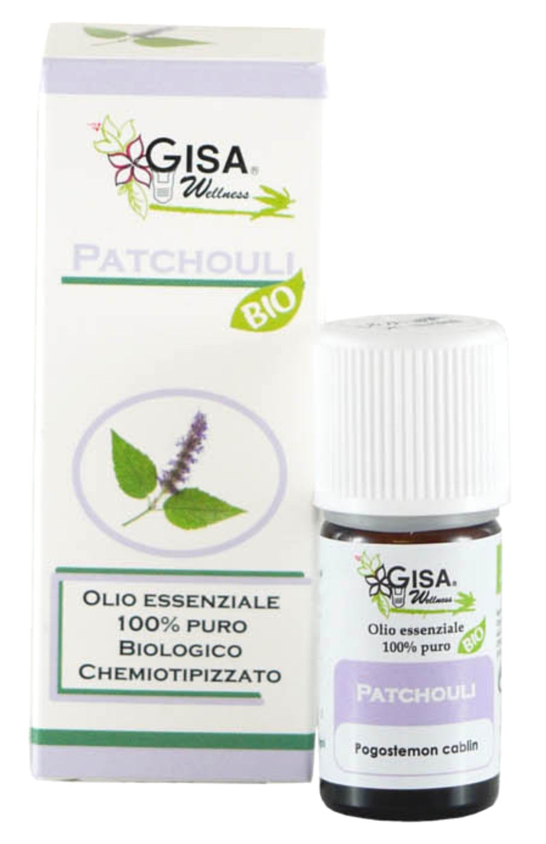 Patchouli BIO - Pogostemon cablin - GREEN LIFE CYPRUS 