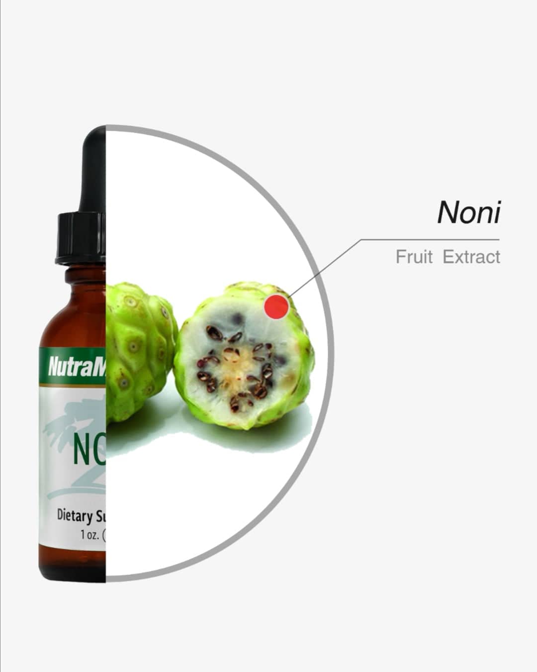 Sentosa Nutramedix Noni microbial defense supplement bottle with label details, displayed on a white background.