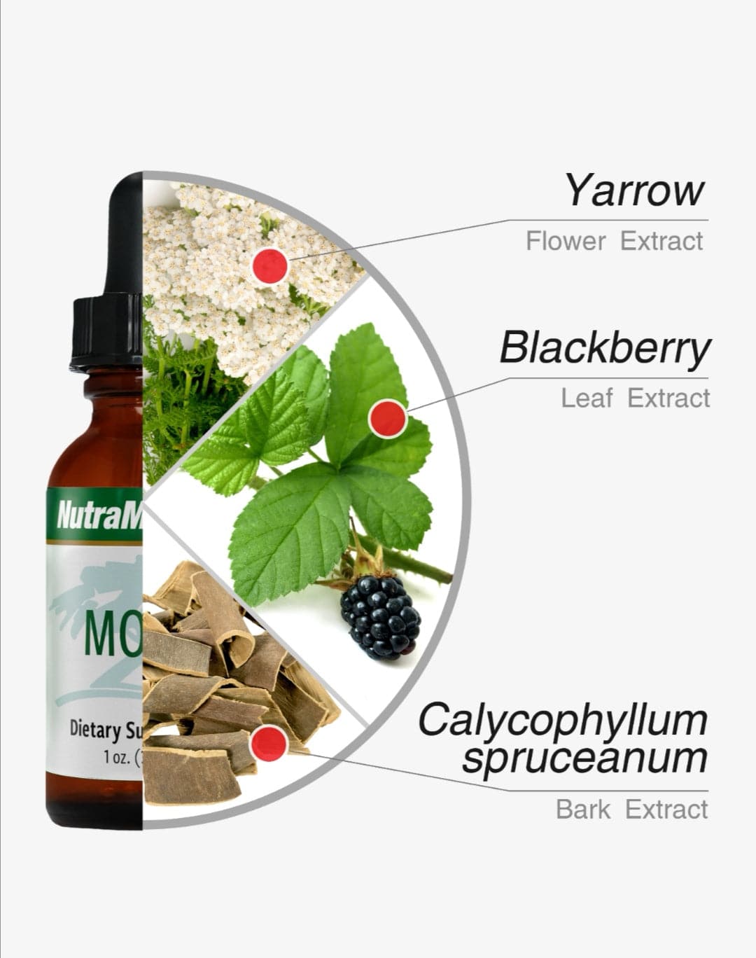 SENTOSA Nutramedix MORA Micorbial Defense supplement bottle with label details visible.