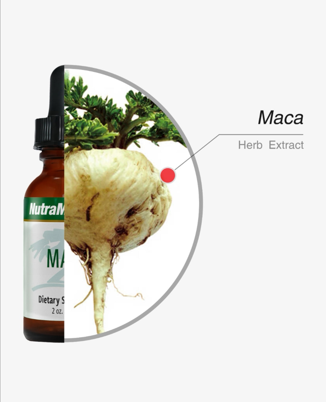 MACA - Harmonal Balance - GREEN LIFE CYPRUS 