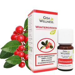 Gisa Wintergreen bio - Gisa